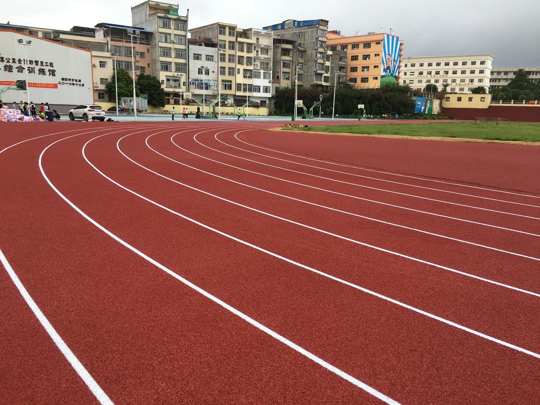 安康市人造草坪塑胶跑道材料 - 厂家